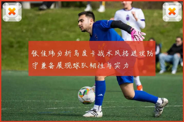 张佳玮分析乌度卡战术风格进攻防守兼备展现球队韧性与实力