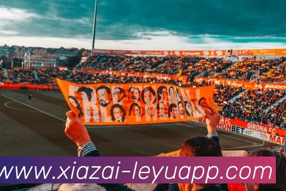 乐鱼体育APP 封面图