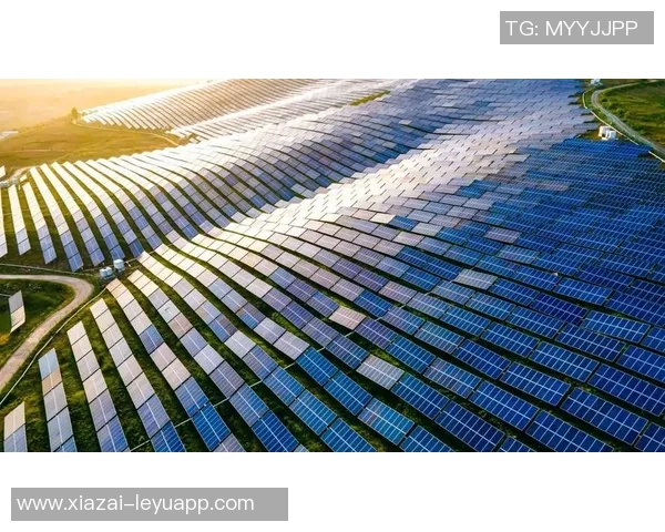 顽强的太阳能如何将雷霆推向极限值得我们共同致敬与反思